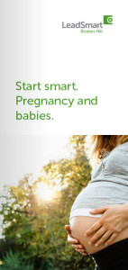 Download the LeadSmart pregnancy and babies brochure as a PDF